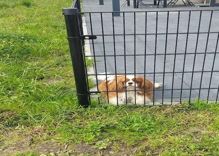 Σπίτι διακοπών In Near Nature Reserves *